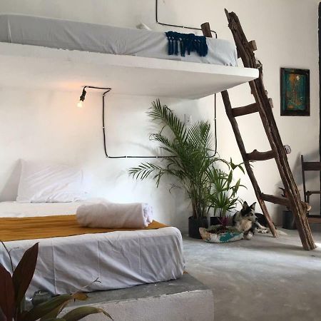 Black Jaguar Hostel Bacalar Luaran gambar