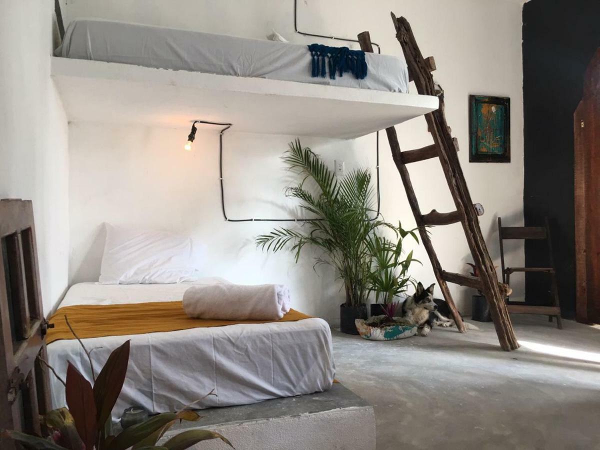 Black Jaguar Hostel Bacalar Luaran gambar